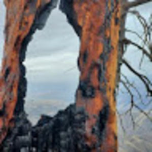 Meet your Posher, Sherry